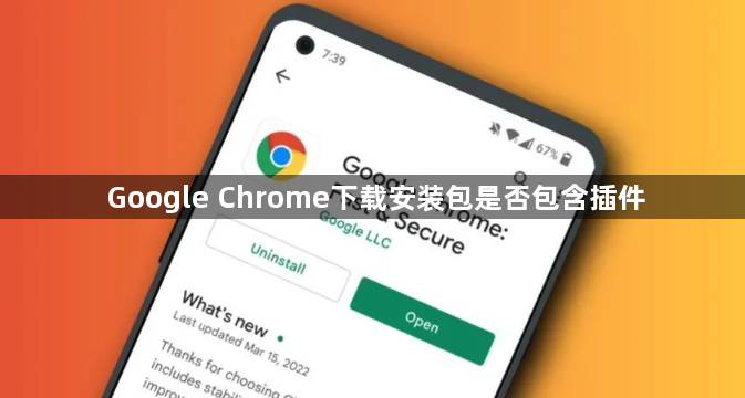 Google Chrome下载安装包是否包含插件1