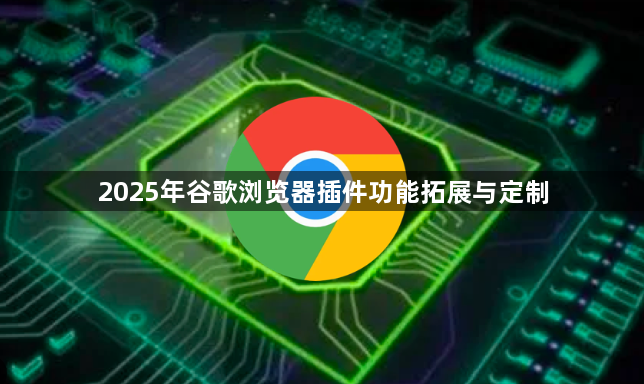 2025年谷歌浏览器插件功能拓展与定制1