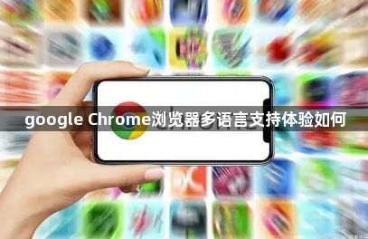 google Chrome浏览器多语言支持体验如何1