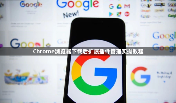 Chrome浏览器下载后扩展插件管理实操教程1