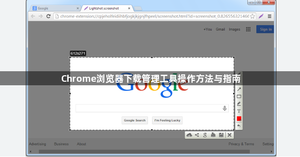 Chrome浏览器下载管理工具操作方法与指南1