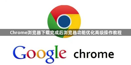 Chrome浏览器下载完成后浏览器功能优化高级操作教程1