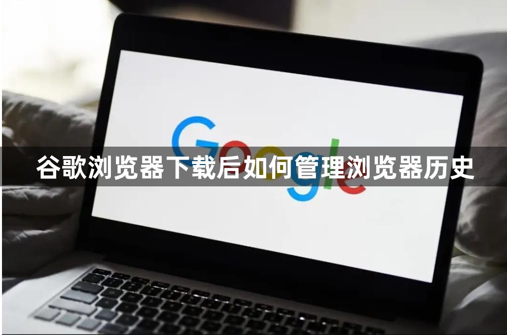 谷歌浏览器下载后如何管理浏览器历史1