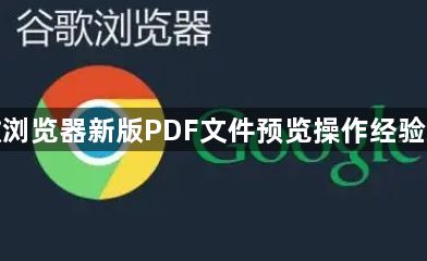 谷歌浏览器新版PDF文件预览操作经验总结1