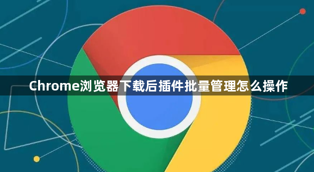 Chrome浏览器下载后插件批量管理怎么操作1