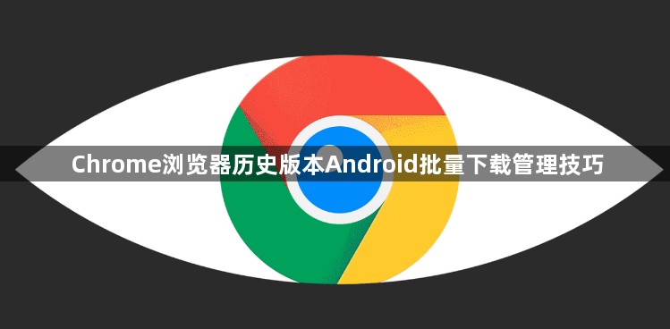 Chrome浏览器历史版本Android批量下载管理技巧1
