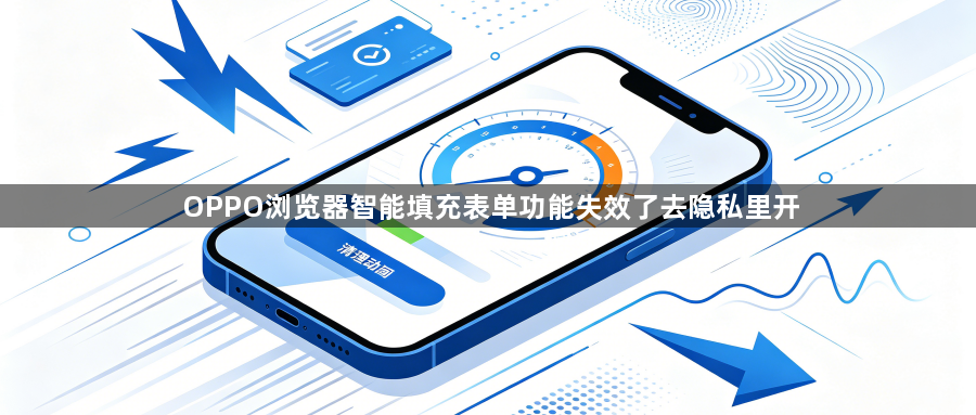 OPPO浏览器智能填充表单功能失效了去隐私里开1